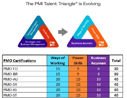 PMO BIRISI PROFESSIONAL CERTIFIED (SESIÓN ESPAÑOL) - Imagen 6
