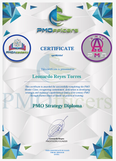 pmo strategy diploma